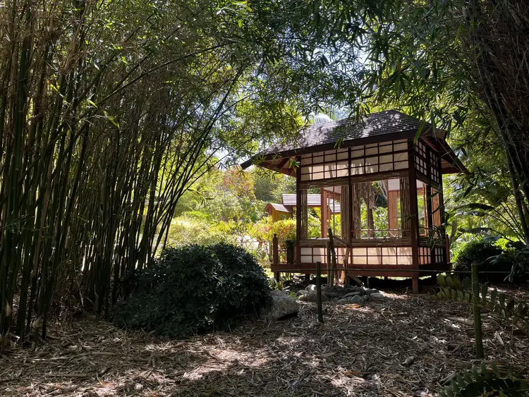 Botanical Garden in Encinitas, California