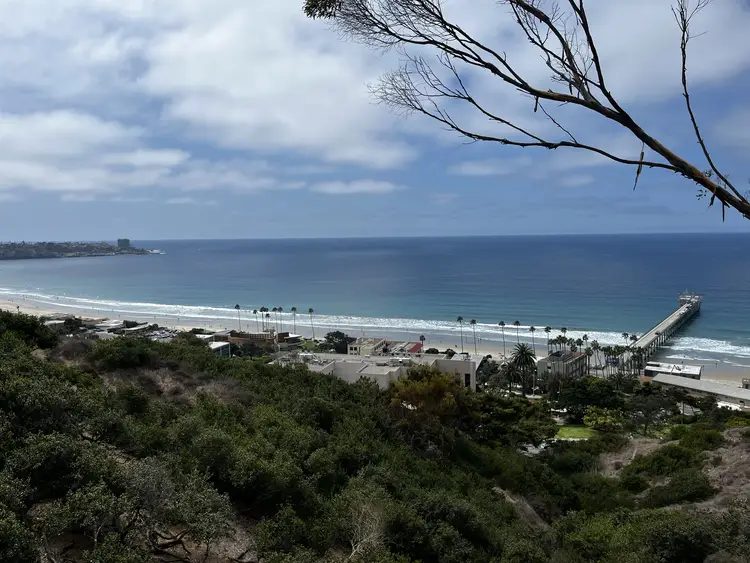 Birch Aquarium Swing in La Jolla, California