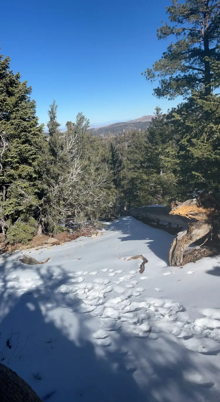 Mountain in Big Bear, California
