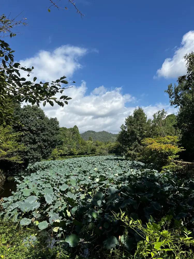 Countryside in Kyoto, Japan