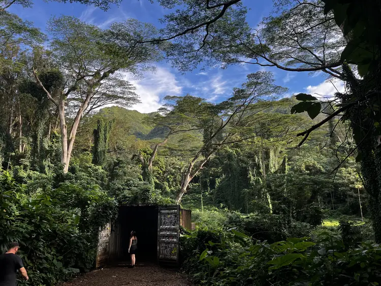 Manoa Falls in Oahu, Hawaii
