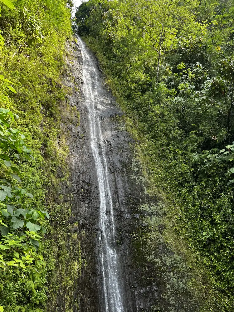 Manoa Falls in Oahu, Hawaii