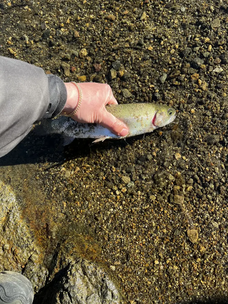 Lake Poway in Poway, California