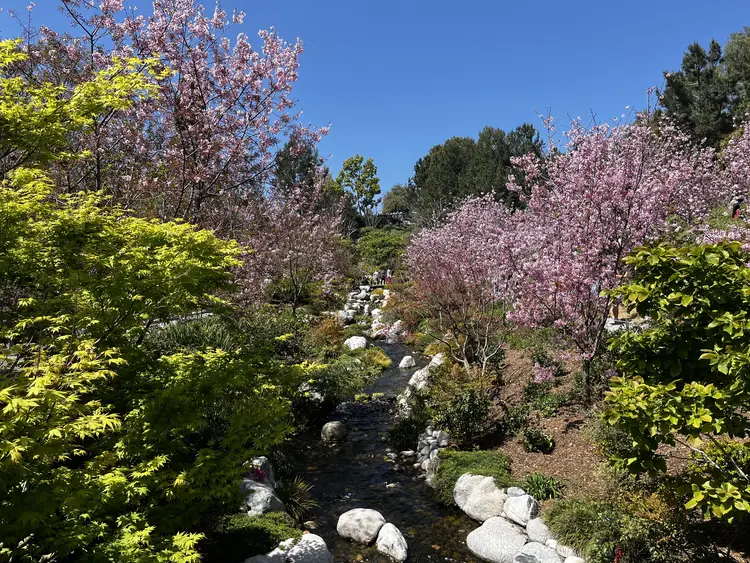Friendship Garden in San Diego, California