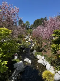 Friendship Garden in San Diego, California