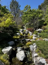 Friendship Garden in San Diego, California