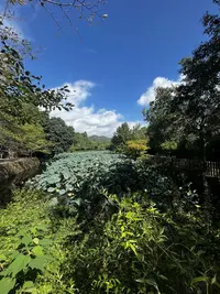 Countryside in Kyoto, Japan