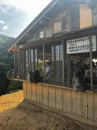 Arashiyama in Kyoto, Japan