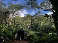 Manoa Falls in Honolulu, Hawaii